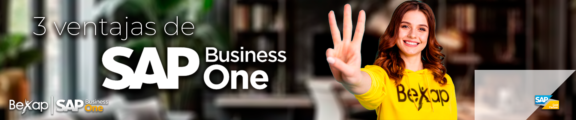 Panyallas SAP Business One en México