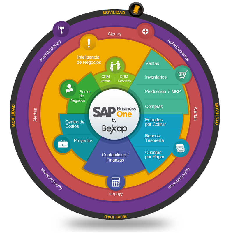 Funcionalidad SAP Business One