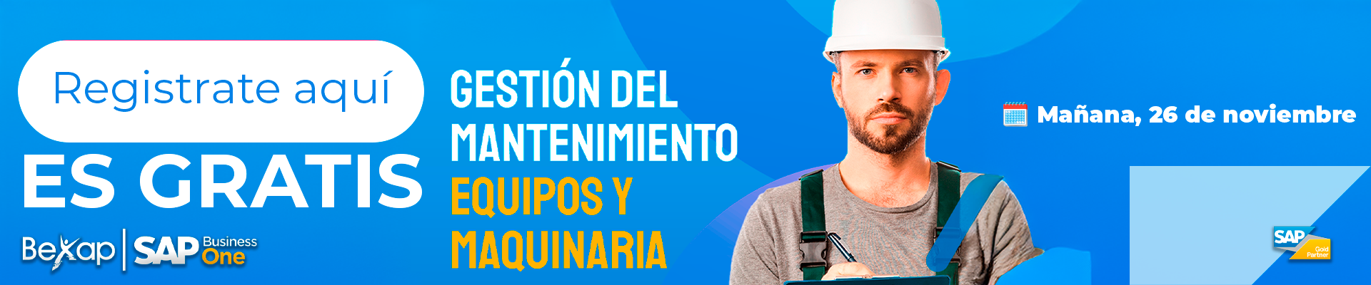 Panyallas SAP Business One en México