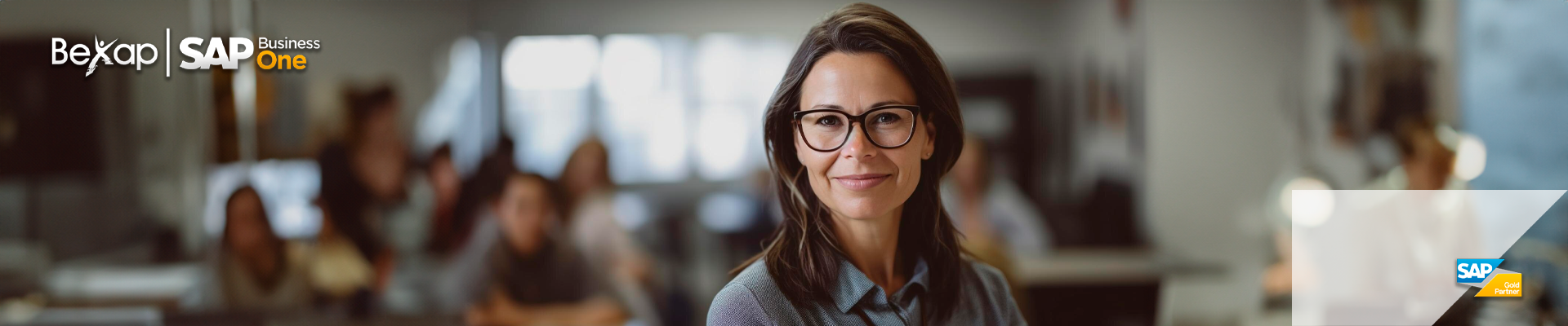 Panyallas SAP Business One en México