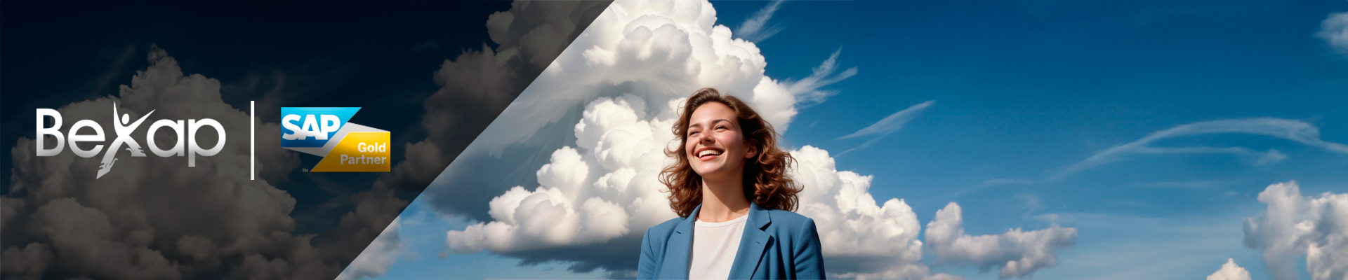 Panyallas SAP Business One en México