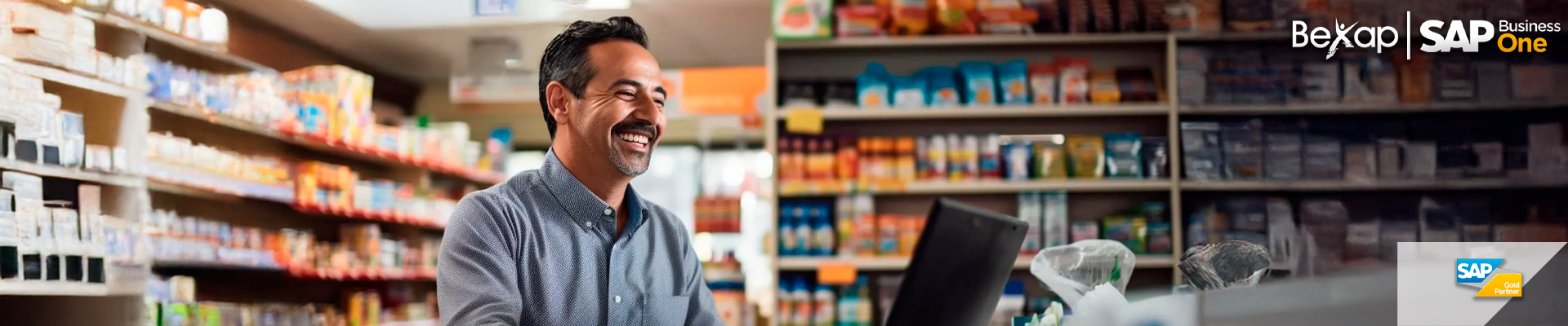 Panyallas SAP Business One en México