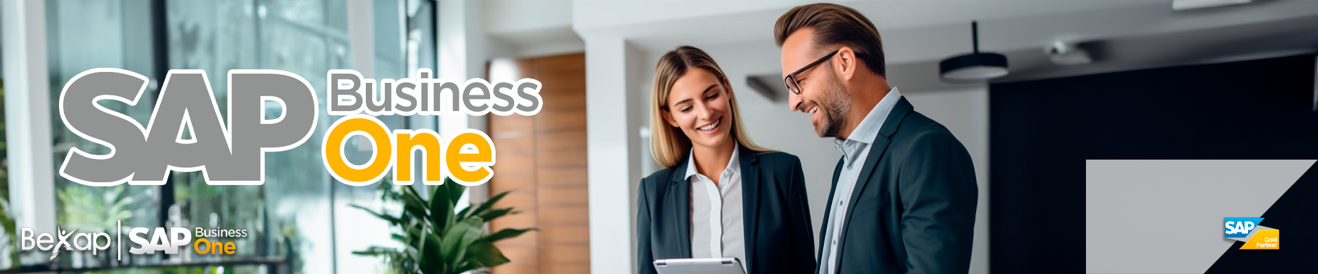 Panyallas SAP Business One en México
