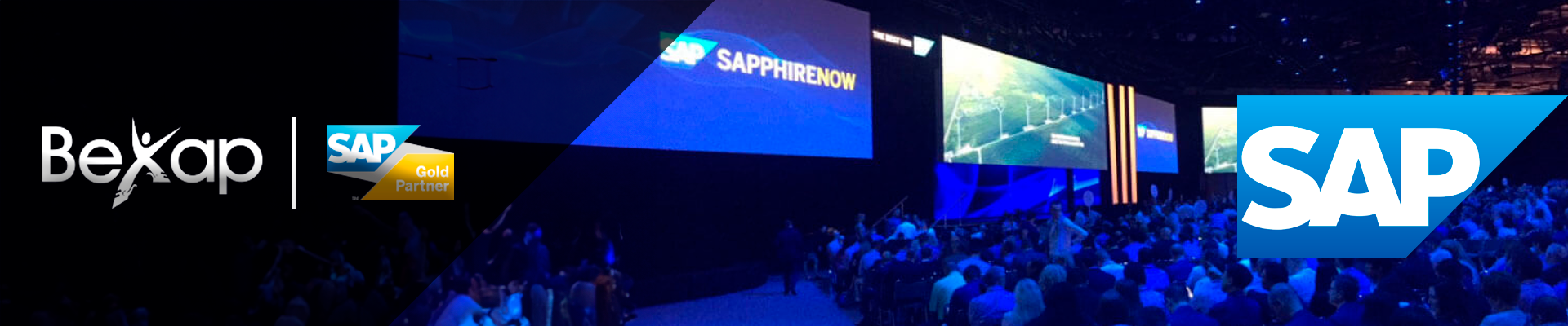 Panyallas SAP Business One en México